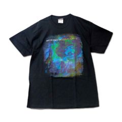 Jimi Hendrix Tシャツ ジミ・ヘンドリックス Valley Of Neptune L 