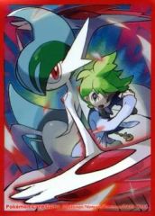 49枚】ミツル＆メガエルレイド デッキシールド ポケモンカード
