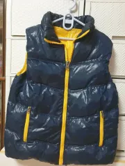 ダウンベスト