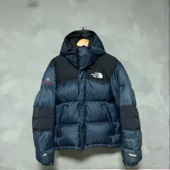 THE NORTH FACE 700 サミット ウィンドストッパー グースダウン ダウン ネイビー