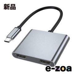 Lumen（ルーメン） Type-C オス  to HDMI メス ｘ2 映像変換アダプタ LUH-CH2DUAL (2673981)