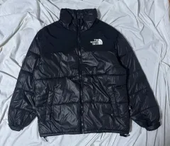 THE NORTH FACE 900 グースダウン ダウン