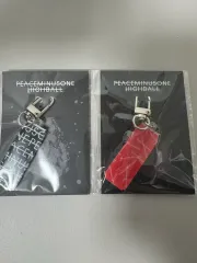 2026年最新】PEACEMINUSONE メンズ キーホルダー・キーリングの人気