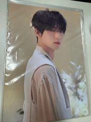 SEVENTEEN ディノ あいのちから タワレコ フライヤー - メルカリ