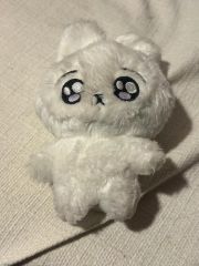 &team yuma ユウマ ぬいぐるみ 10cmドール マスコット 윰냥이 - メルカリ