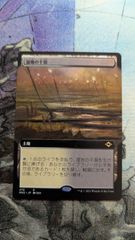 mtg 湿地の干潟 日本語 1枚 - メルカリ