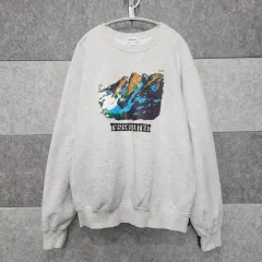 thisisneverthat ユニセックス 起毛 スウェット (サイズ M)
