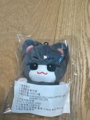 TXT ヨンジュン ワンバトゥ ぬいぐるみ 40cm TXTヨンジュン ワンバトゥ チュンリンぬいぐるみ4体セット - メルカリ