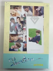 SEVENTEEN Love&Letter レターバージョン 開封 アルバム ウジ
