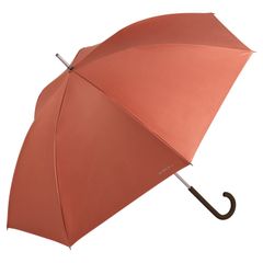 6月にこの色はラッキーカラーて^_^す！未使用トラサルディ長傘 - メルカリ