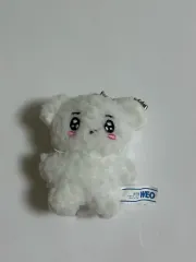 THE BOYZ(ザ・ボーイズ・ドボイズ) ヨンフン(YOUNGHOON) ぬいぐるみ 빵꼬미(7cm) 出品
