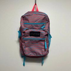 JanSport ecMelodi starteam fti p&yリュック - メルカリ
