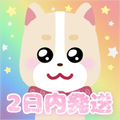 ワンピースカード ご確認用ページ - メルカリ