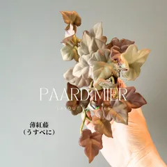 2026年最新】セイブシシバナヘビの人気アイテム - メルカリ