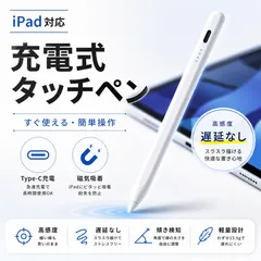 iPad タッチペン スタイラスペン 充電式 Type-C 磁気吸着 パームリジェクション 高感度 ペンシル 互換 Apple Pencil 替え芯付き イラスト お絵描き メモ ペンタブ対応 軽量 静音 タブレット用