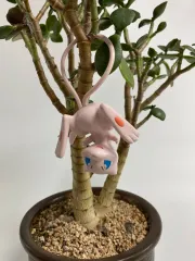 ミュウ アクション フィギュア (Mew Pokemon Action Figure Toy)