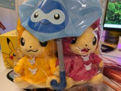 2016年マンスリーピカチュウ 6月 ポケモンセンター - メルカリ