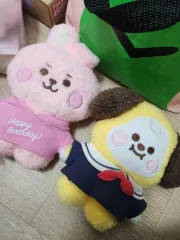 BT21 ぬいぐるみ COOKY CHIMMY