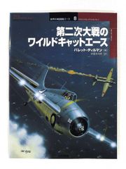 USAF米空軍＊ルーニー・テューンズ七宝シルベスター・キャット爆撃機スコードロン USAF米空軍＊ルーニー・テューンズ七宝シルベスター・キャット爆撃機