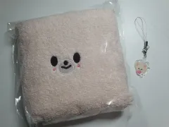 Stray Kids(ストレイキッズ・スキズ・SKZ) ファンミーティング 2日目 FoxI.Ny タオル キーホルダー セット