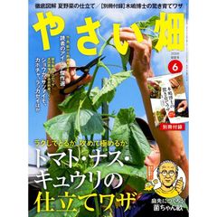 「Ｇメン’７５」ＤＶＤコレクション第１０２号（新品）出版社在庫なし‼️チラシ付き Gメン'75 DVDコレクション 第102号 [分冊百科] (DVD付