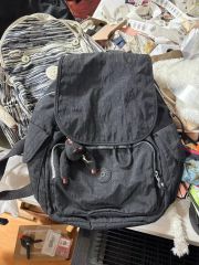 LeSportsac ケビンデヴァイン美品 バックパック リュック 黒スカル 