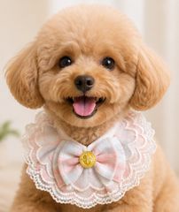 オーダー受付】大型犬用フリルスタイ♡うちの子いちばん♡ - メルカリ