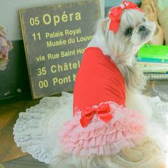 きゃんナナ 犬服 サマーレースワンピース Lサイズ モーブピンク