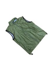 日本未入荷 海外限定 ノースフェイス ナイロンベスト フィッシング