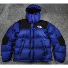 THE NORTH FACE サミット ウィンドストッパー 700 グースダウン ダウン 95