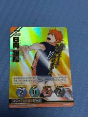 ハイキューバボカ 秘バボ 日向翔陽 サイン ハイキュー‼︎バボカ