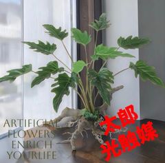 光触媒 人工観葉植物 ウォールグリーン フェイクグリーン 壁掛け 