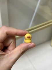 アヒルのフィギュア 15体セット ラバーダック - メルカリ