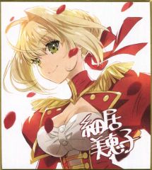 [중고] 종이 제품(캐릭터) 세이버 호소이 미에코씨 신작 미니 색종이 [Fate/EXTRA Last Encore Ending Illustration Book] 구입 특전