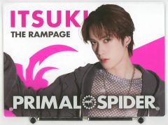 PRIMAL SPIDER 川村壱馬 アクリルパネル - メルカリ