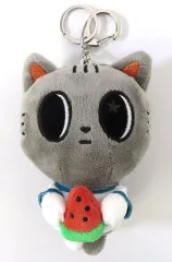【中古】ぬいぐるみマスコット・ぬいぐるみバッジ テヒョン(TOMORROW X TOGETHER) プラッシュキーリング DA-GO-NYANG 「PPULBATU ＜SUMMER TOGETHER＞ POP-UP」