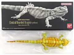 【中古】トレーディングフィギュア いきもの大図鑑プレミアム フトアゴヒゲトカゲ(イエロー) ガシャポンオンライン限定のサムネイル