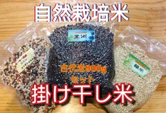 R7年新米 自然栽培米 掛け干し黒米ミックス&古代米ブレンド&緑米ミックスセット900g（300g×3）玄米 黒米300g ブレンド300g 緑米300g