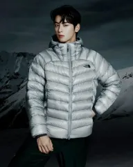 24年版 L THE NORTH FACE ザノースフェイス サミット ダウンジャケット ライトグレー