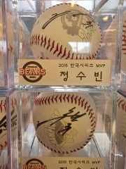 GIANTS サイン入り記念フレーム 長嶋茂雄監督時代希少ファンクラブ