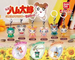 とっとこハム太郎 めじるしアクセサリー ちゅりー！ コンプリート