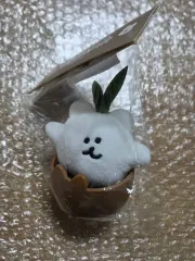 POP MART ダイノテン 田舎暮らし 豆まき 新芽