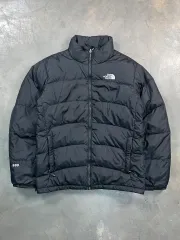 THE NORTH FACE 600フィル ダウンジャケット