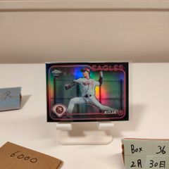 会然TREK 2K20 ショルダーバッグ 平沢進 ライブグッズ - メルカリ