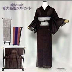 新品 東レシルック さんび 京都近鉄百貨店扱い　洗える着物 絽 黒地 リーフ 新品 東レシルック さんび 京都近鉄百貨店扱い 洗える着物 絽 黒地