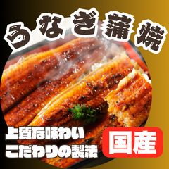 冷凍 うなぎ 蒲焼 中国産 10枚 まとめ売り - メルカリ