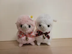 アルパカ ぬいぐるみセット