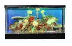 アクアワールド 楽園伝説2 マスダヤ 増田屋 電動熱帯魚 水槽 おまけ