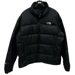 THE NORTH FACE 700 ダウン L