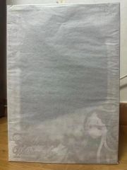 となモ アスカ夢中を抱きしめる ガレージキット となも9 新品